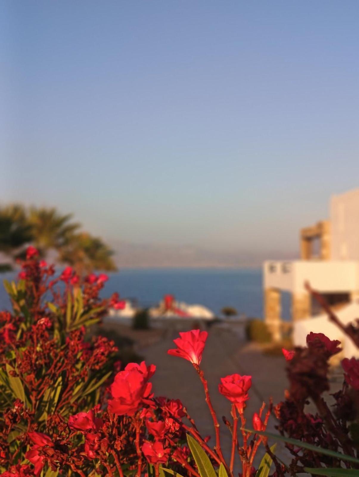 Апартаменти Aura Paros Логарас Екстер'єр фото